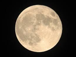 FULL MOON OIL（サンクチュアリマッサージオイル）