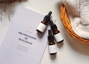 【プラーナハンドレッスン】